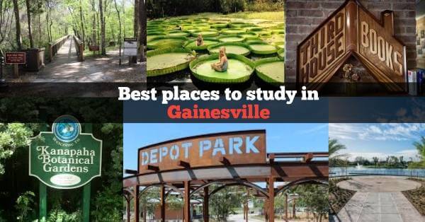 Best places to study in Gainesville