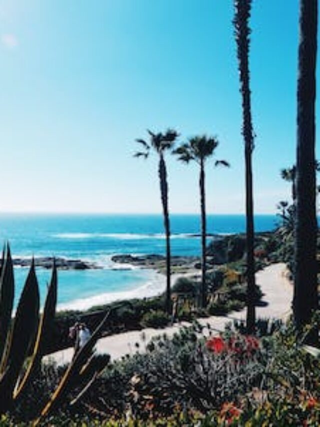 🏖️🏖️TOP-RATED THINGS TO DO IN CAPITOLA